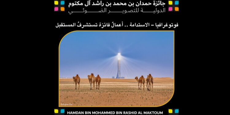 فوتوغرافيا – الاستدامة .. أعمالٌ فائزة تستشرفُ المستقبل