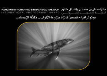 فوتوغرافيا – قصصٌ فائزة منزوعة الألوان .. مُكثّفة الإحساس