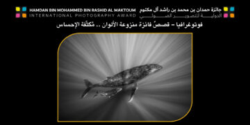 فوتوغرافيا – قصصٌ فائزة منزوعة الألوان .. مُكثّفة الإحساس