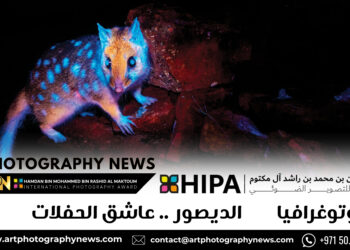 فوتوغرافيا – الديصور .. عاشق الحفلات