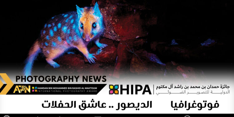 فوتوغرافيا – الديصور .. عاشق الحفلات