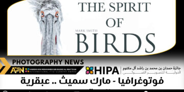 فوتوغرافيا – مارك سميث .. عبقرية المحتوى