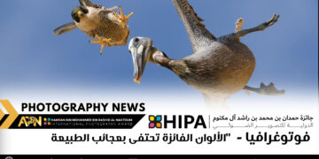 فوتوغرافيا – الألوان الفائزة تحتفى بعجائب الطبيعة