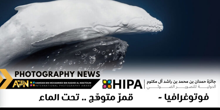 فوتوغرافيا – قمرٌ متوهّج .. تحت الماء