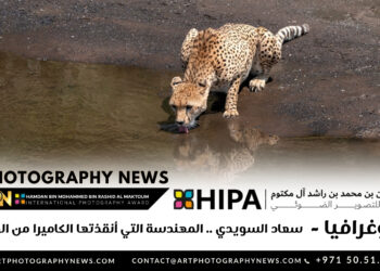 فوتوغرافيا – سعاد السويدي .. المهندسة التي أنقذتها الكاميرا من الوحدة