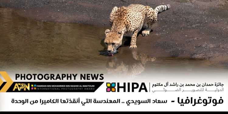 فوتوغرافيا – سعاد السويدي .. المهندسة التي أنقذتها الكاميرا من الوحدة