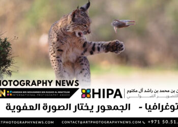 فوتوغرافيا  -الجمهور يختار الصورة العفوية