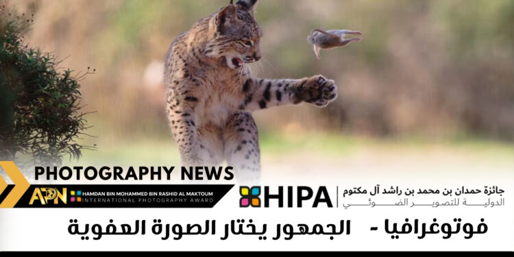 فوتوغرافيا  -الجمهور يختار الصورة العفوية