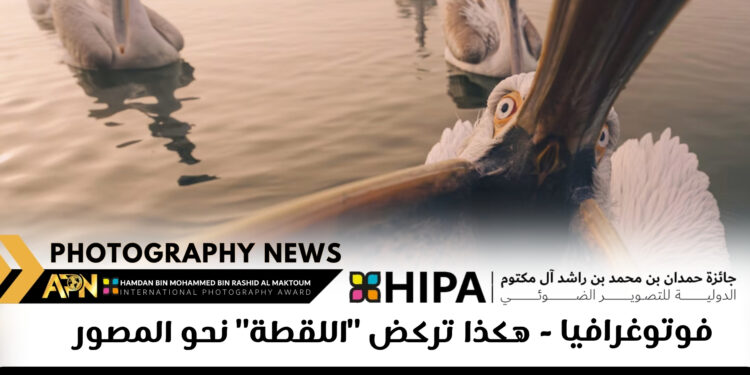 فوتوغرافيا – هكذا تركض “اللقطة” نحو المصور