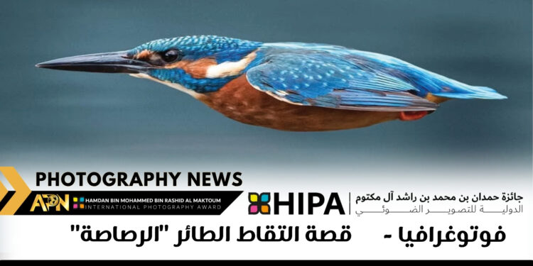 فوتوغرافيا  -قصة التقاط الطائر “الرصاصة”