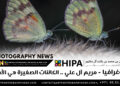 فوتوغرافيا – مريم آل علي .. الكائنات الصغيرة هي الأجمل