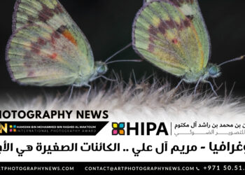 فوتوغرافيا – مريم آل علي .. الكائنات الصغيرة هي الأجمل