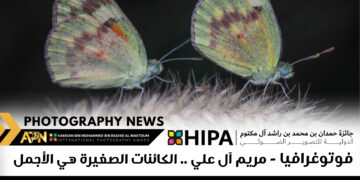 فوتوغرافيا – مريم آل علي .. الكائنات الصغيرة هي الأجمل