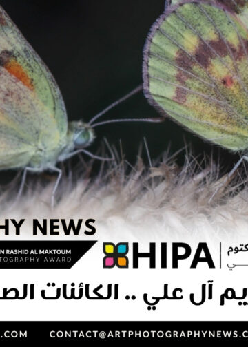فوتوغرافيا – مريم آل علي .. الكائنات الصغيرة هي الأجمل