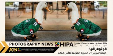 فوتوغرافيا – البطة “ميرلين” .. الصورة الطريفة لكأس العالم